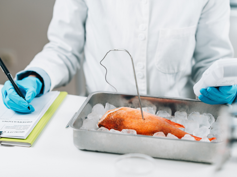 Forscher, der einen Fisch im Labor untersucht